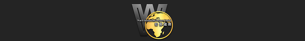 宏傲國際有限公司 Logo
